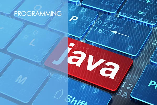 Java Programming