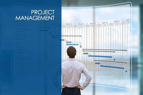 Project Management Professional (PMP Certification Prep) 6th edition PMBOK
